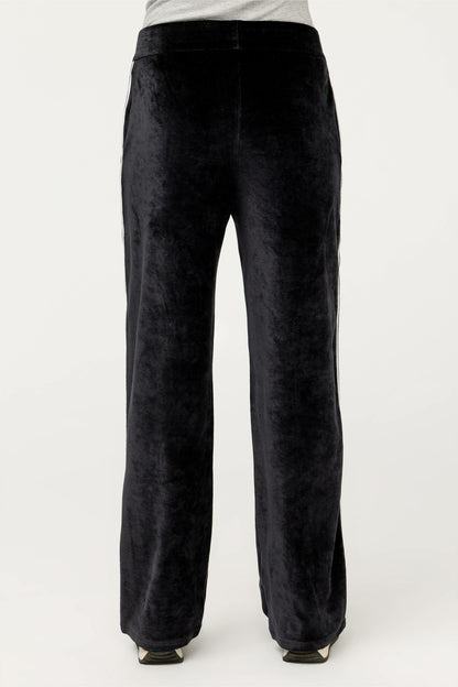 Johnny Was ESSENTIALS VELOUR PANT WITH STRIPE DETAIL
