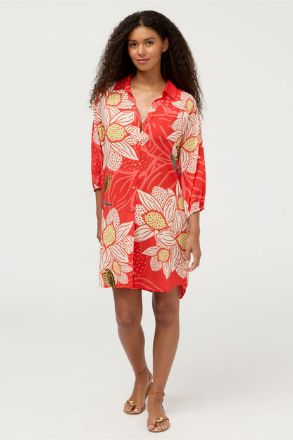 Johnny Was JW X ASHLEY PERCIVAL BUTTON DOWN SHIRT DRESS