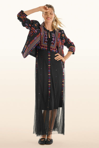 Johnny Was APOLONIA MESH DRESS